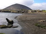 Galapagos 6-1-02 Santiago Puerto Egas Sea Lion and Sugarloaf Volcano Santiago Island, officially called San Salvador and also called James, located in the west central part of the Galapagos, is the fourth largest island in the archipelago. A male sea lion patrols the beach at Puerto Egas against other males. Behind the black lava shoreline is Sugarloaf Volcano with a 395m summit.